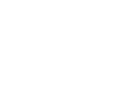 security life
