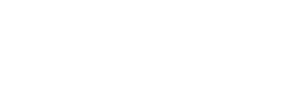 minnesota life